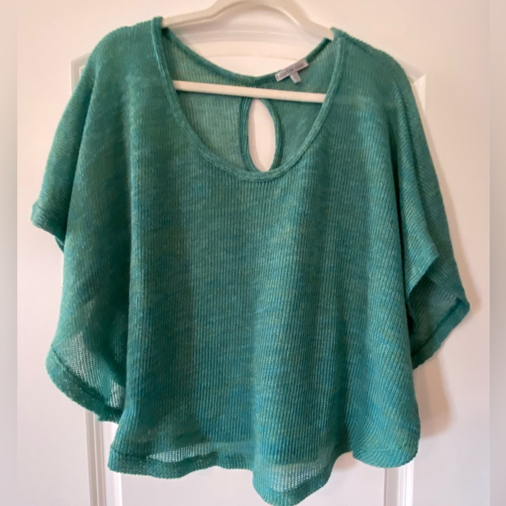 Sheer sweater crop top